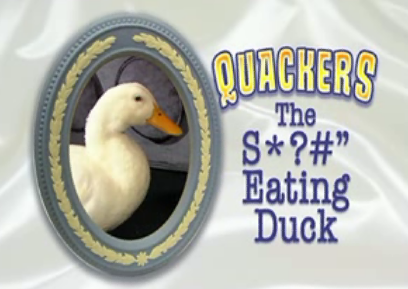 New TV Show: Quackers The S*?#" Eating Duck New TV Show: Quackers The S*?#" Eating Duck